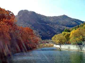 管家婆黑白马报图库，小吃餐车